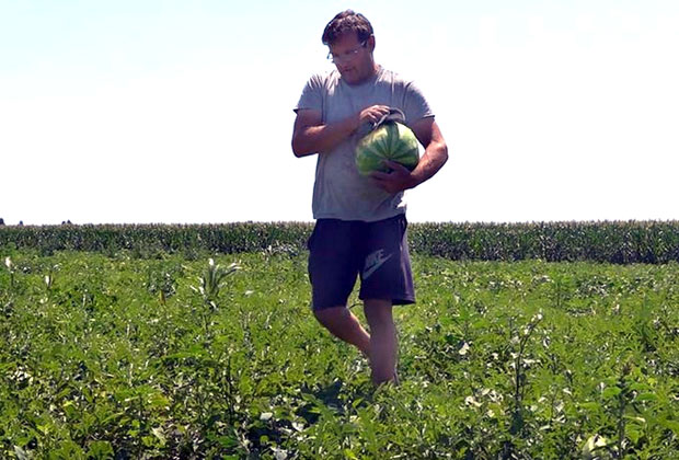 Из бостана и до две тоне плода